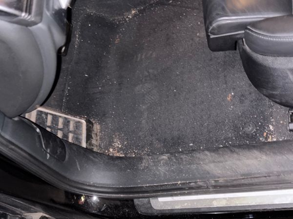 Auto reinigen in Wien bei Glanzwerk-Wien